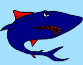 Desenho Tubarão pintado por joao vitor