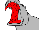 Desenho Hipopótamo com a boca aberta pintado por pablo