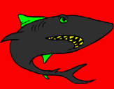 Desenho Tubarão pintado por gamulyah