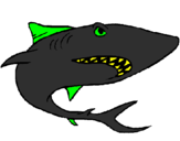 Desenho Tubarão pintado por Johnata