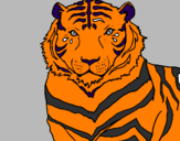 Desenho Tigre pintado por tigre siberiano