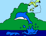 Desenho Golfinho e gaviota pintado por joao vitor