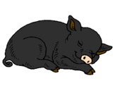 Desenho Porco a dormir pintado por pablo