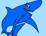 Desenho Tiburão alegre pintado por marco