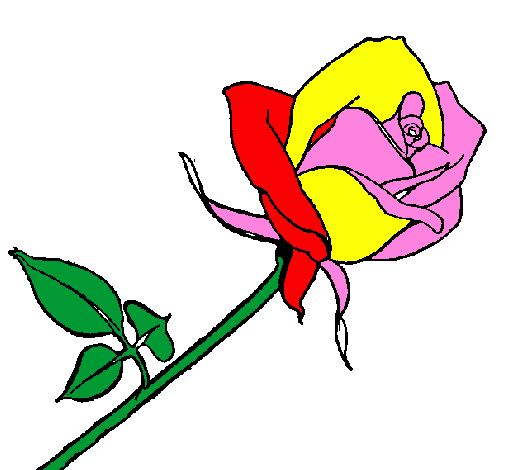 Desenho Rosa pintado por rosa dos ventos