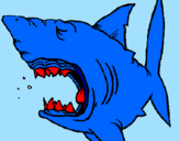 Desenho Tubarão pintado por drago ball z
