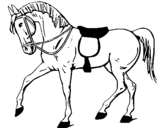 Desenho Cavalo de competição pintado por Lukas