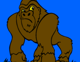 Desenho Gorila pintado por marco