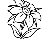 Desenho Flor silvestre pintado por rafael