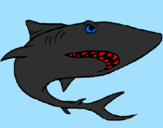 Desenho Tubarão pintado por luiz guilherme