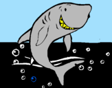 Desenho Tubarão pintado por joao  vitor