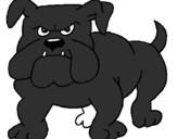 Desenho Cão Bulldog pintado por tor