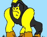 Desenho Gorila pintado por jean vitor