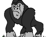 Desenho Gorila pintado por PINGU