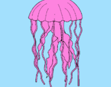 Desenho Medusa pintado por Gigio