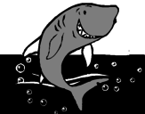 Desenho Tubarão pintado por YVANI