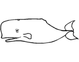 Desenho Baleia azul pintado por IAN