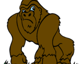 Desenho Gorila pintado por gabri