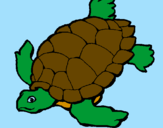 Desenho Tartaruga pintado por turtle