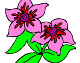 Desenho Flores pintado por jéssica