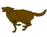 Desenho Cão a correr pintado por ADELIO