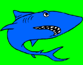 Desenho Tubarão pintado por j. vitor