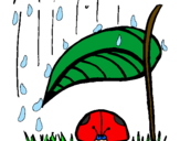 Desenho Joaninha protegida da chuva pintado por chuva de joaninha