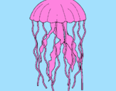Desenho Medusa pintado por Yasmim