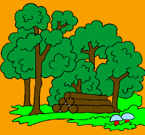 Desenho Bosque pintado por floresta pokemon