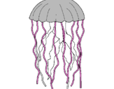 Desenho Medusa pintado por pedro