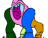 Desenho Gorila pintado por jose