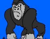 Desenho Gorila pintado por ADELIO