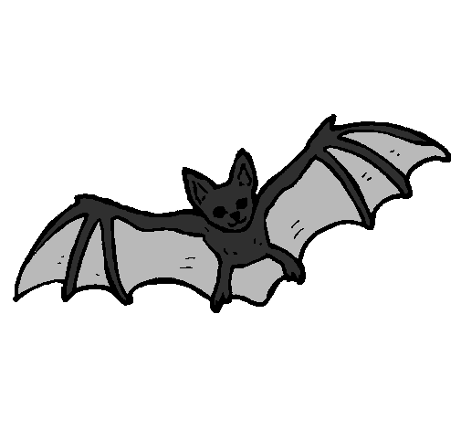 Desenho Morcego a voar pintado por gato negro