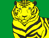 Desenho Tigre pintado por onça