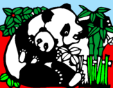 Desenho Mamã panda pintado por jose ribamar