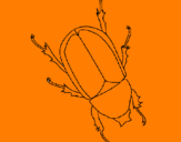 Desenho Escaravelho pintado por kaue