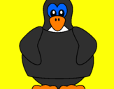 Desenho Pinguim pintado por pedro