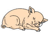 Desenho Porco a dormir pintado por ADELIO