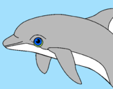 Desenho Golfinho pintado por baleia  orca