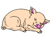 Desenho Porco a dormir pintado por Edgar