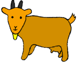 Desenho Cabra pintado por marri