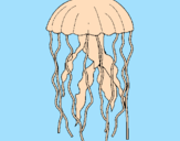 Desenho Medusa pintado por caio
