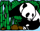 Desenho Urso panda e bambu pintado por jose  
