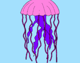 Desenho Medusa pintado por isabella