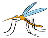 Desenho Mosquito pintado por rodrigo