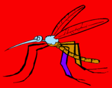 Desenho Mosquito pintado por juninho