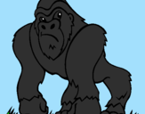 Desenho Gorila pintado por wait