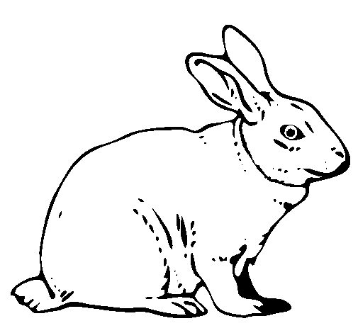 Desenho Lebre pintado por lebre