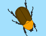 Desenho Escaravelho pintado por pedro