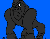 Desenho Gorila pintado por Naum